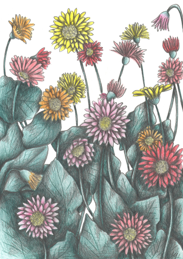 Vibrant Floral Composition