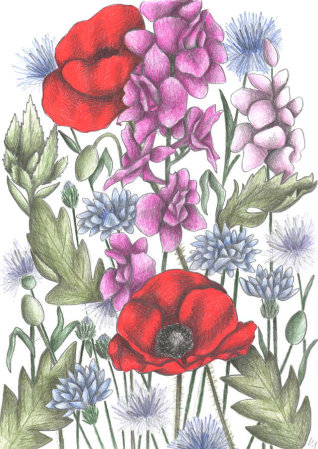 Colorful Flower Garden