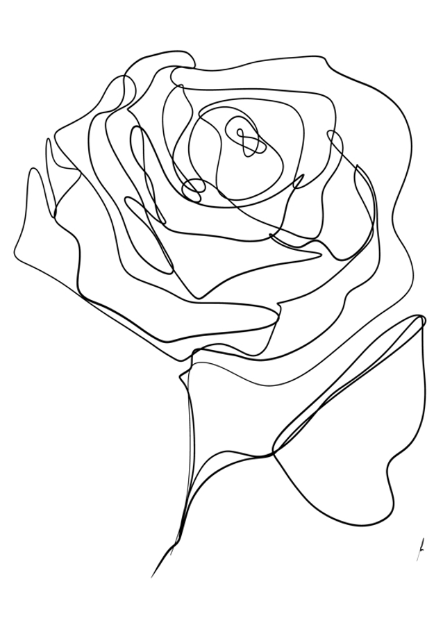 ROSE ONE-LINE DRAWING