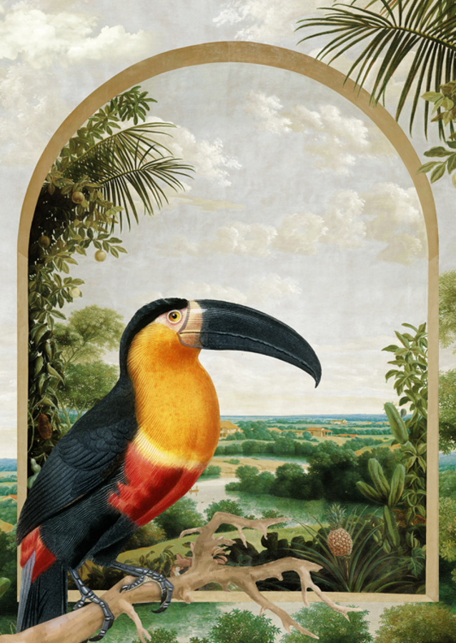 Tukan sediaci na konári