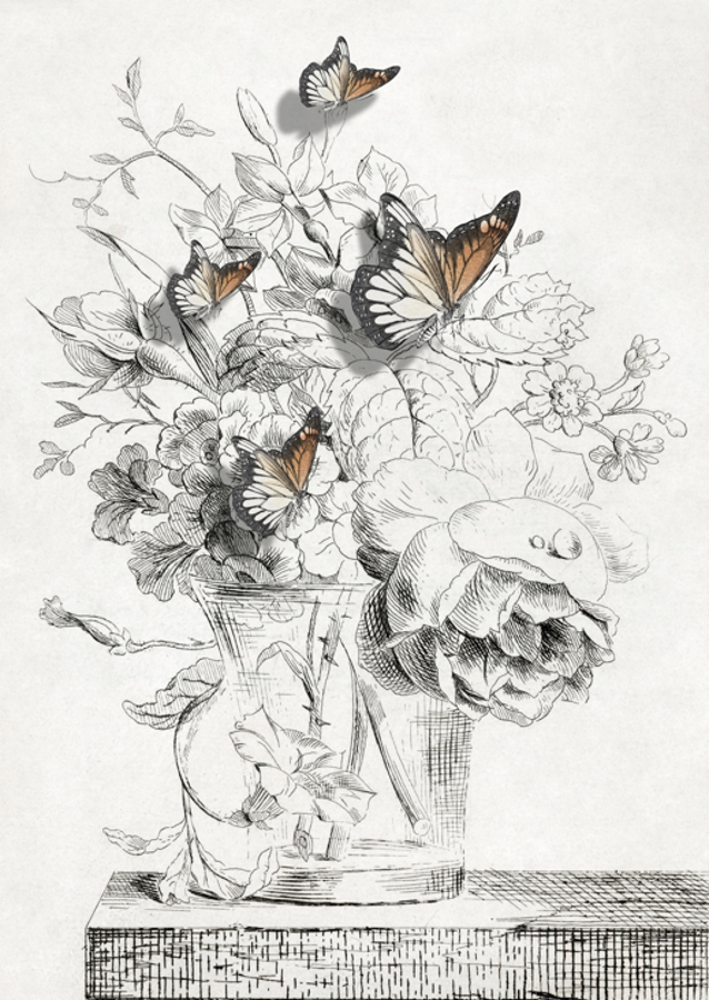 The Butterflies &amp; The Vase With Flowers
