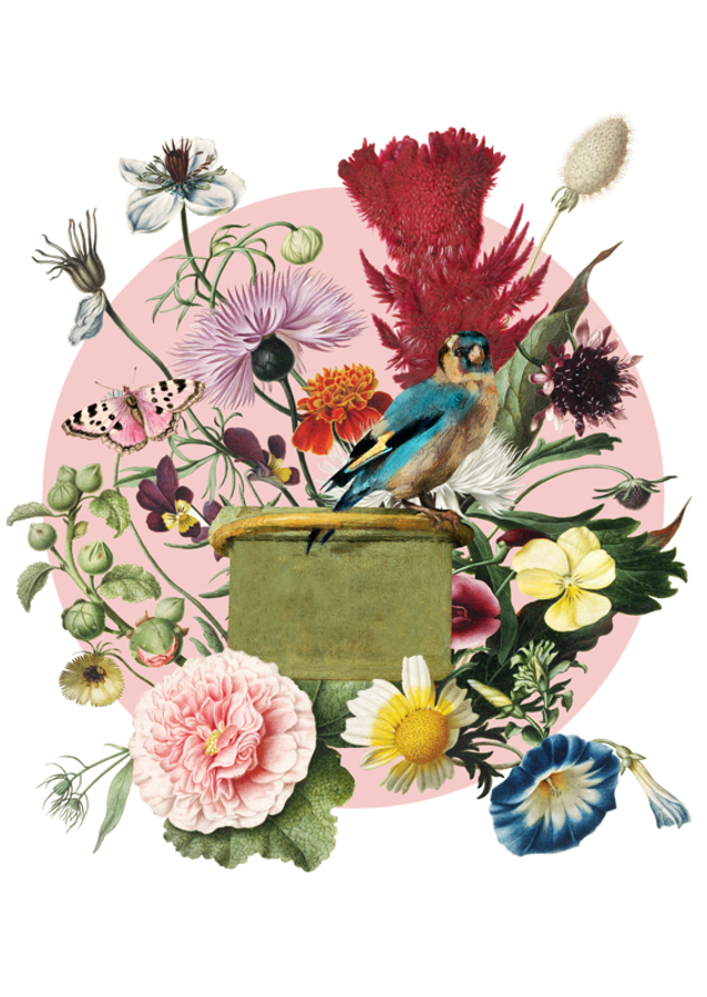 Colorful Bird Perched On A Box