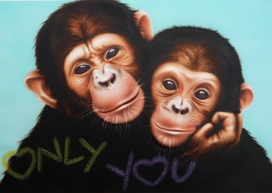 Chimpanzee Companions