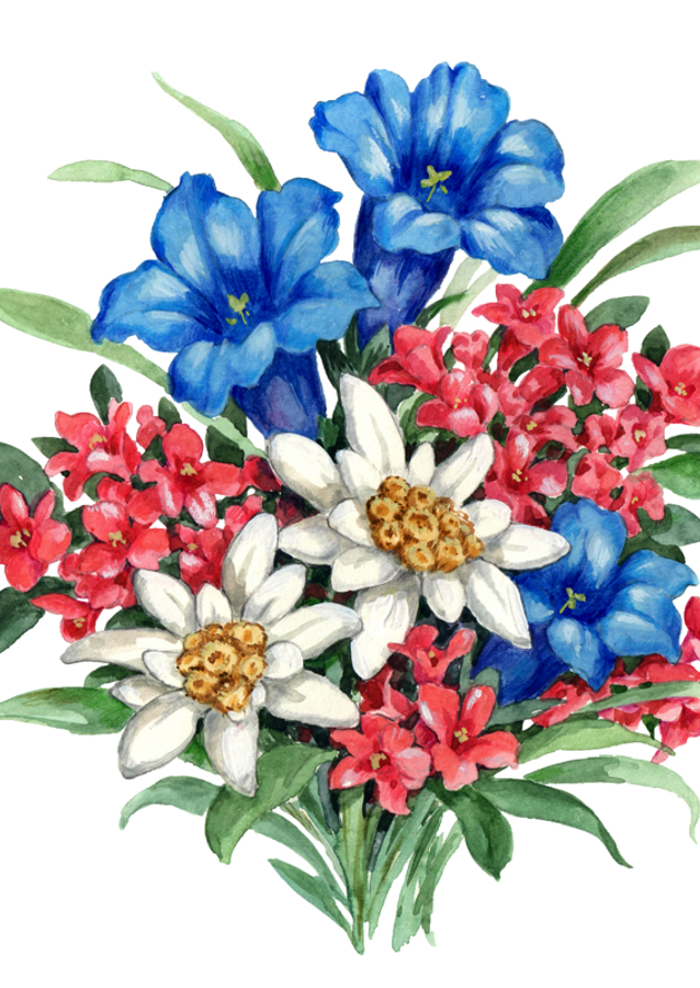 Bouquet with Blue Gentian White Edelweiss and Red Flowers