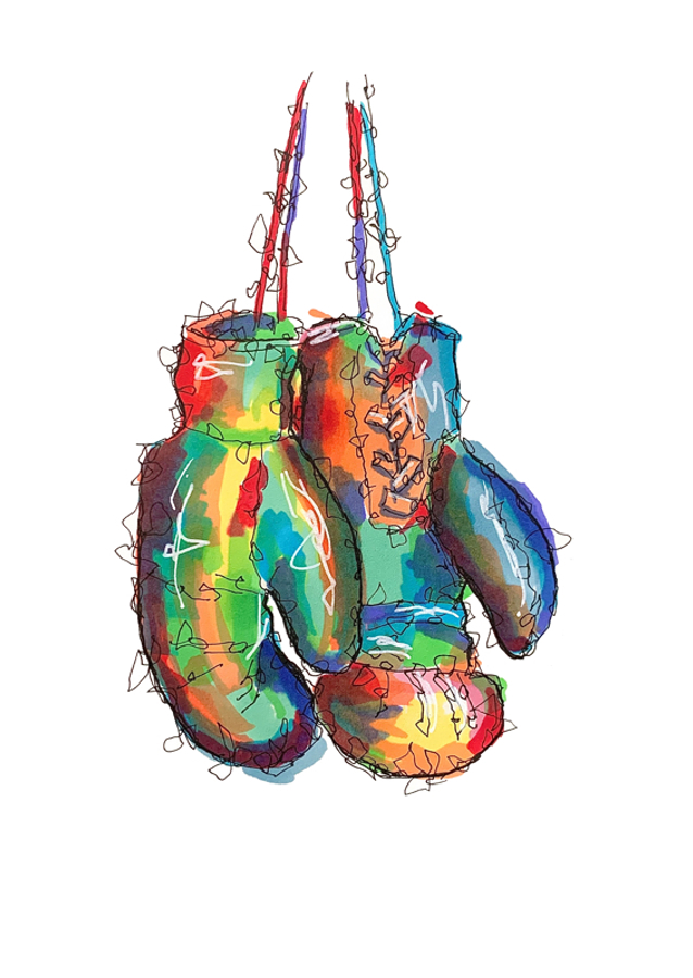 Boxing gloves