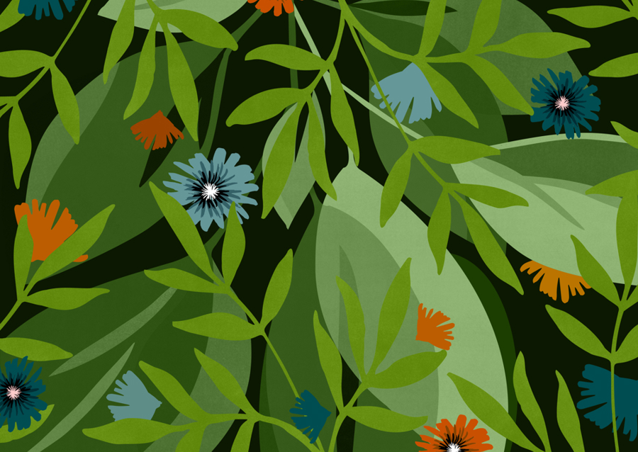 Colorful Flowers and Green Leaves