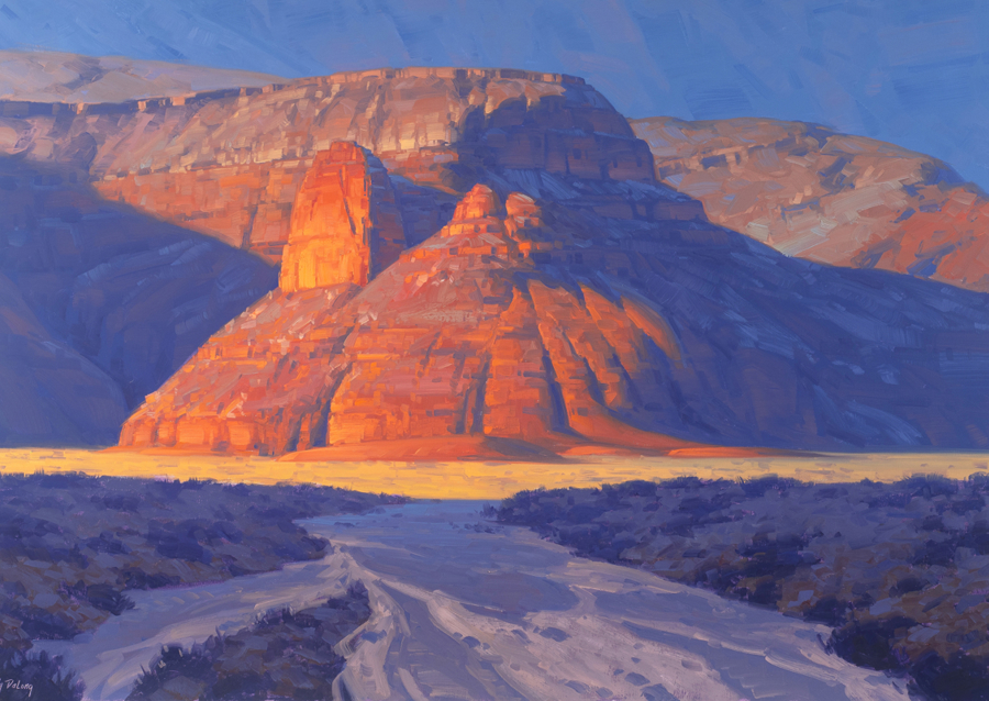 Stunning Desert Landscape at Sunset