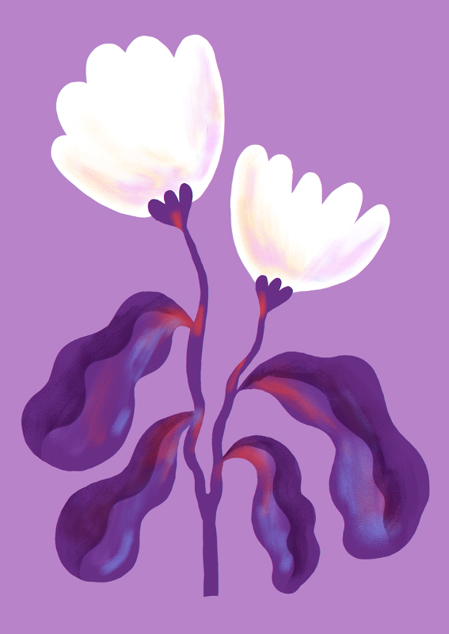 White Flowers and Violet Leaves