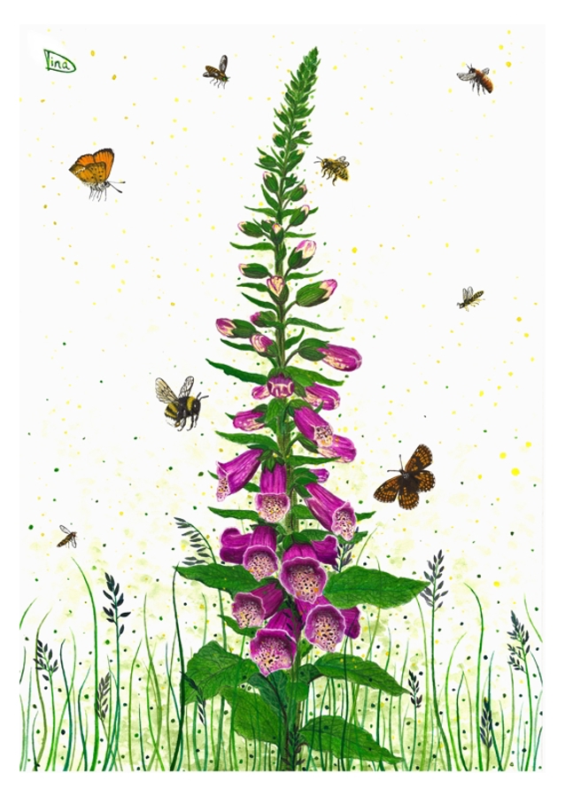 Digitalis - Queens of Flowers