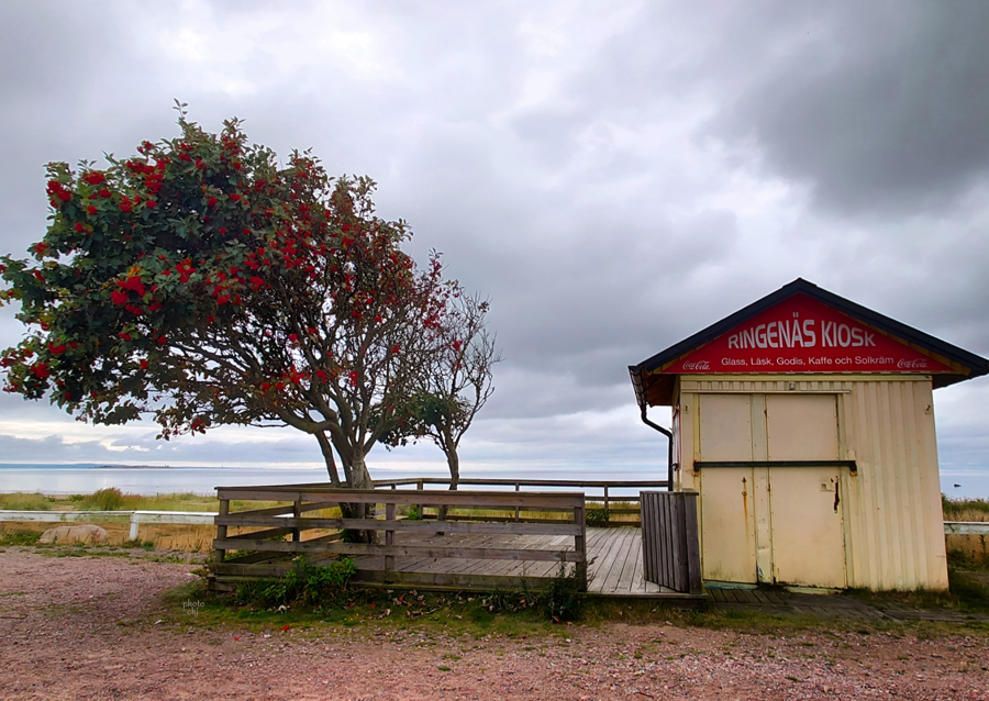 Autumn - Ringenäs kiosk