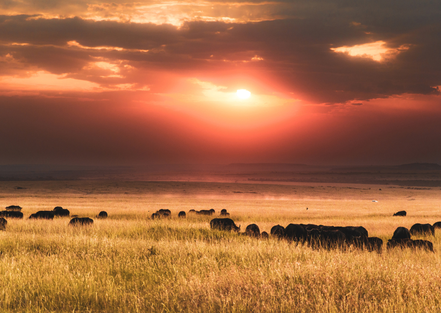 Sunset over Masai Mara