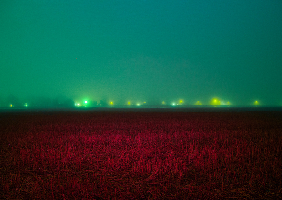 Red field under blue sky