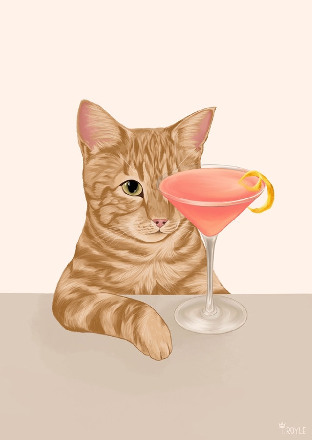 Ginger Cat with Cosmopolitan Cocktail