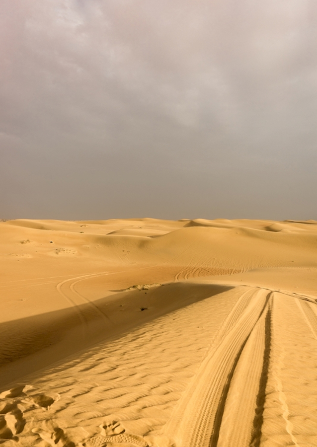 Goldene Stunde in der Wüste