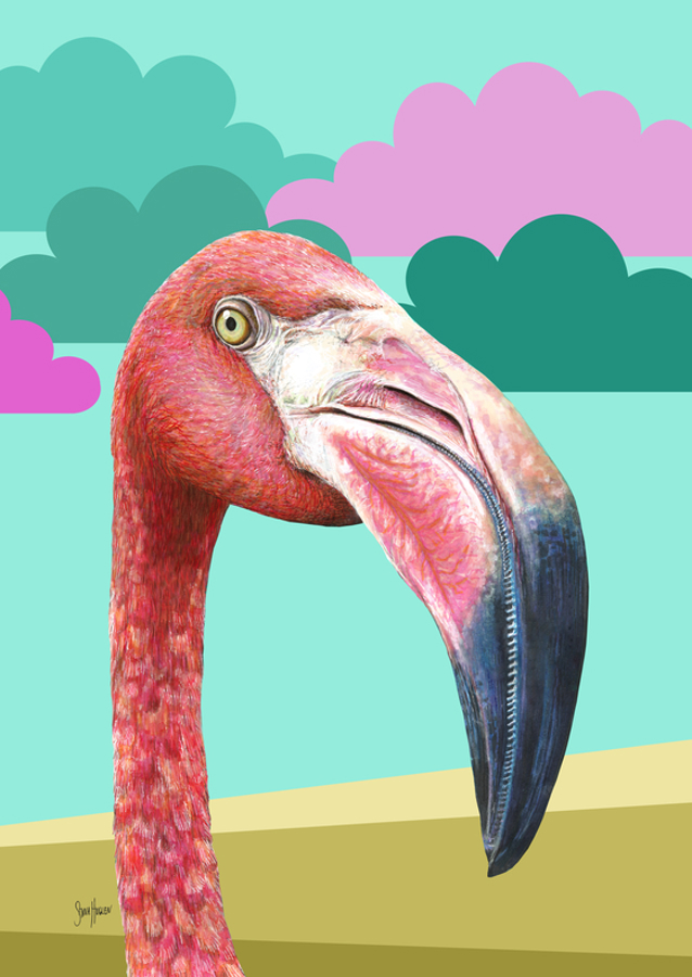 Flamingo vol. 3