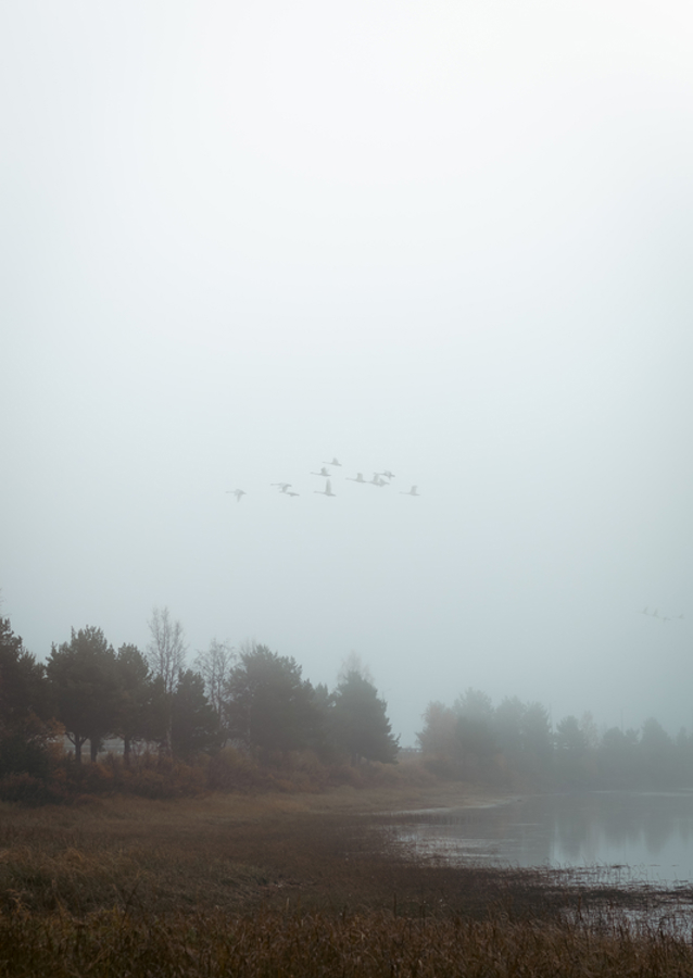 Das Flüstern des Nebels: ein friedlicher Morgen in der Natur