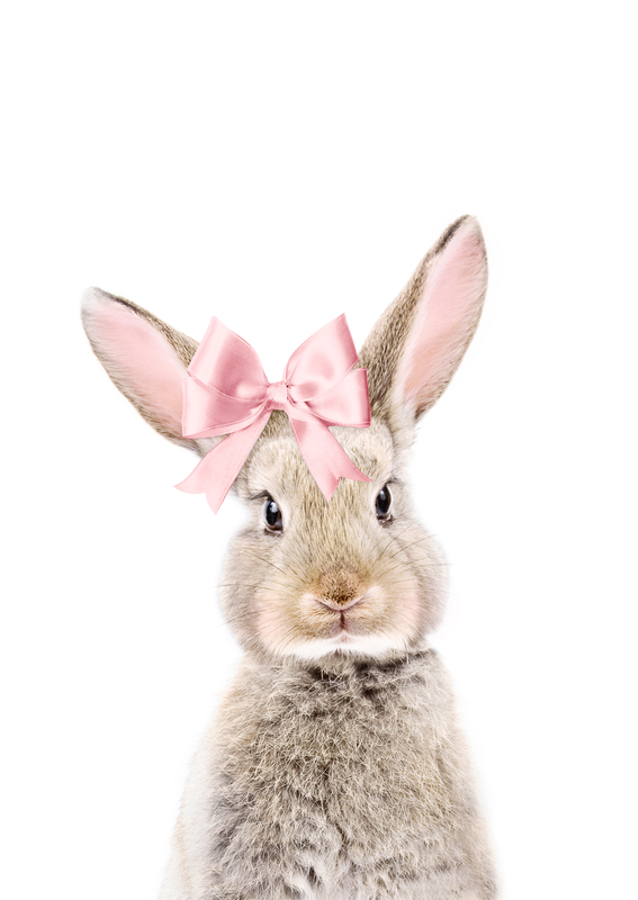 Charming Bunny with a Pink Bow: A Whimsical Touch of Cuteness