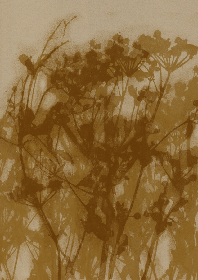 Szepty natury: Botaniczne sylwetki w sepii