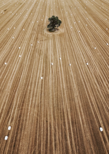 Poster: sOAKed up in lines - Sandra Linnell