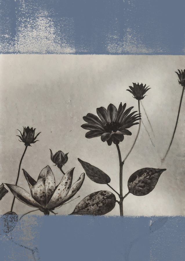 Whispers of Nature: Eine monochrome florale Elegie