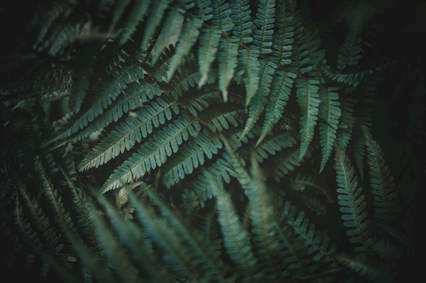Poster: Dans un monde de rêve désordonné  - Ulrica Hållén