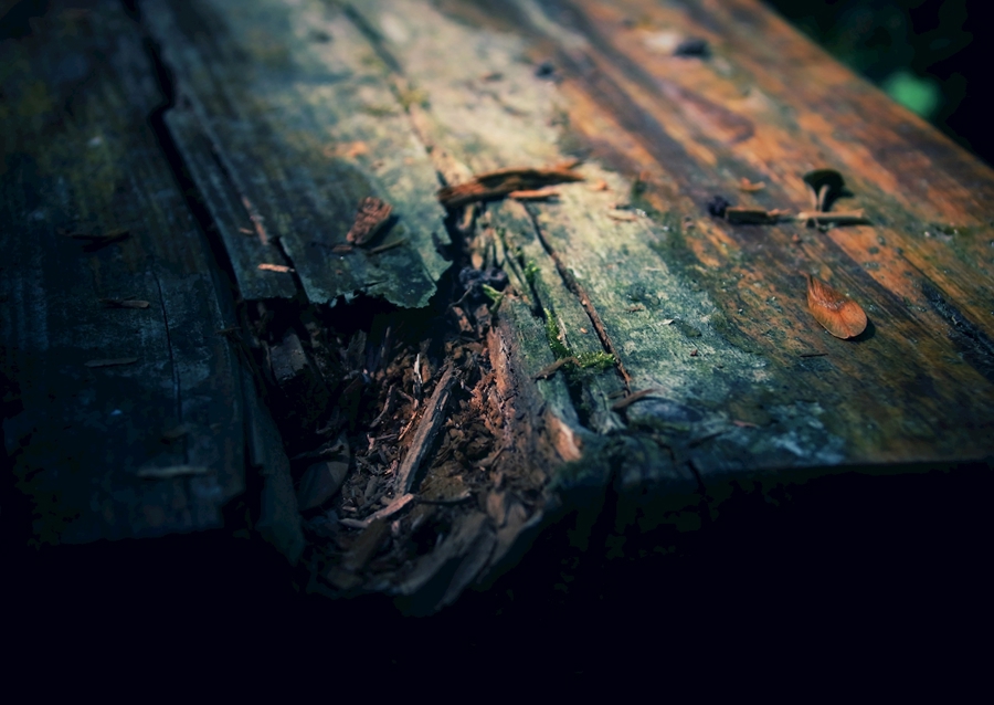 Wood Bench