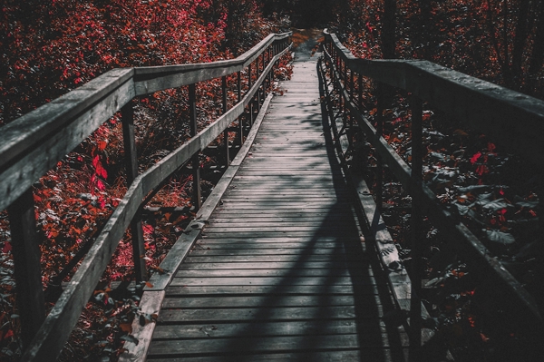 Poster: Följ vägen - Nathalie Wiik