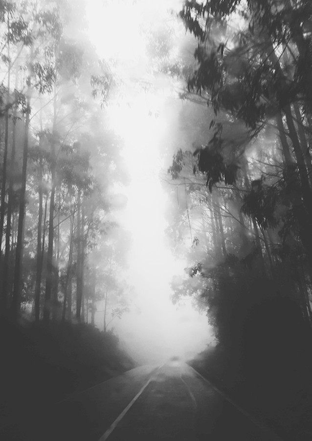 Każdy deszczowy dzień