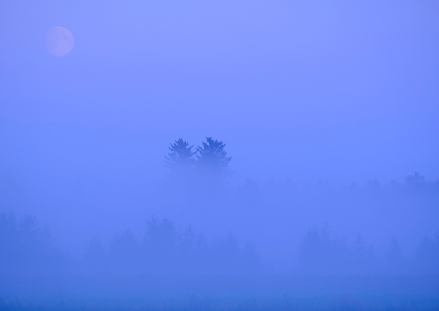 Misty moonshine