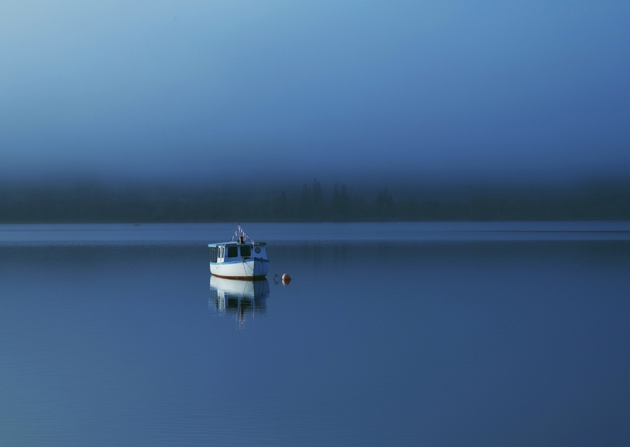 the space between us