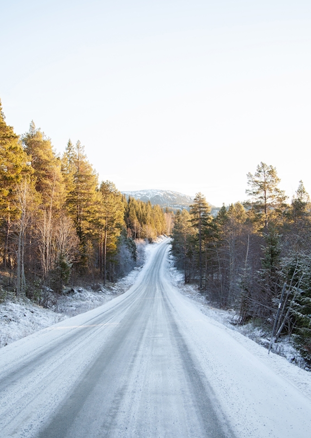 Winter Road