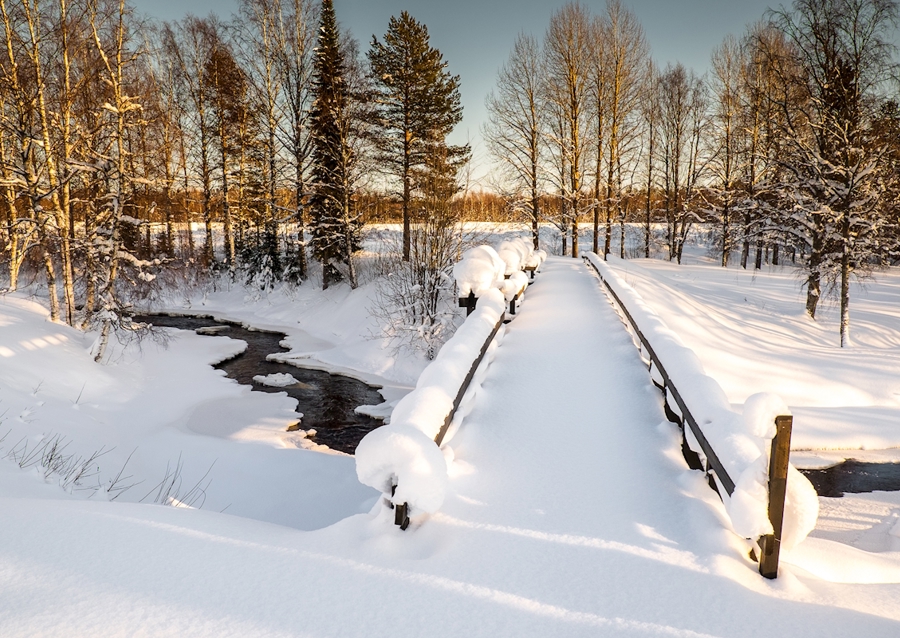 Talvimaa