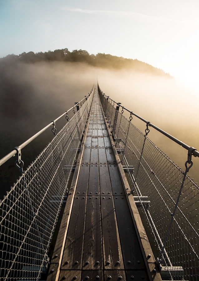Brücke ins Nirgendwo