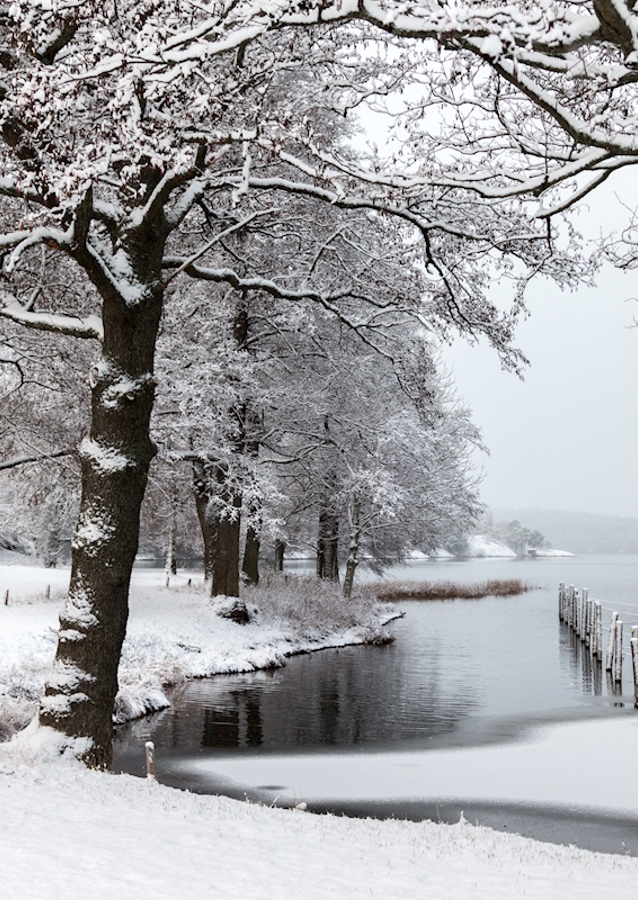 Vinter vid viken