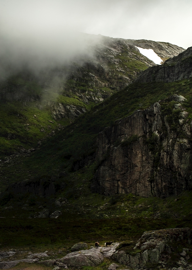 Směrem na Bergen jedeme