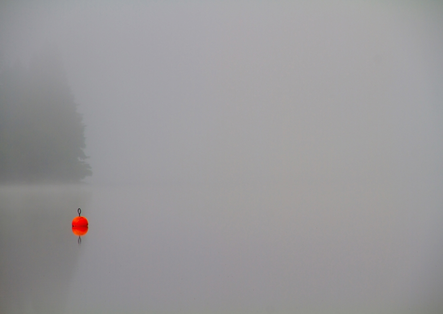 Mlhavý den u jezera