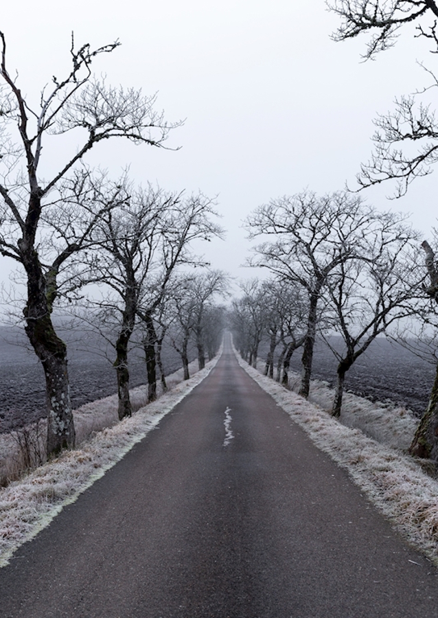 Just follow the road