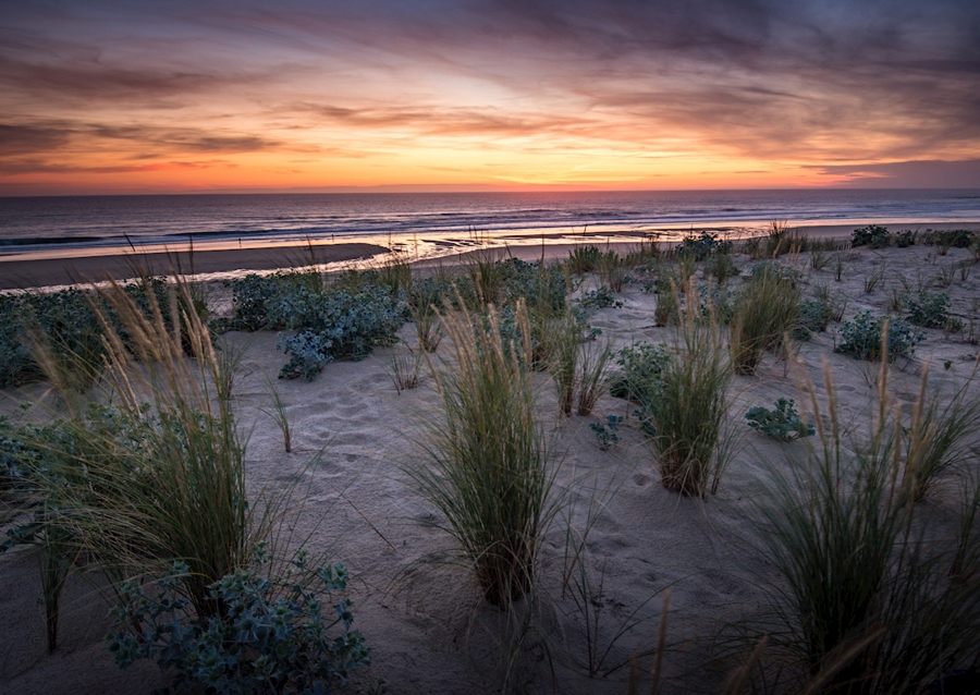 The dunes in the sunset light