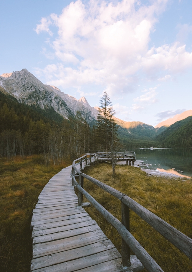 Přímo do divočiny.