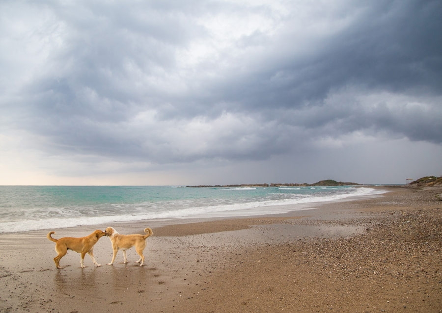 Trzymanie się razem