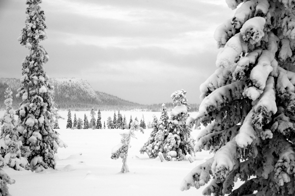 Poster: Mi-hiver en Laponie - Peter Rolén