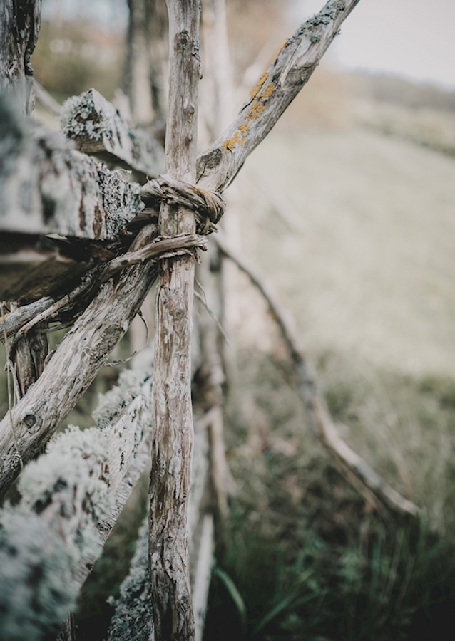 L’ancienne clôture