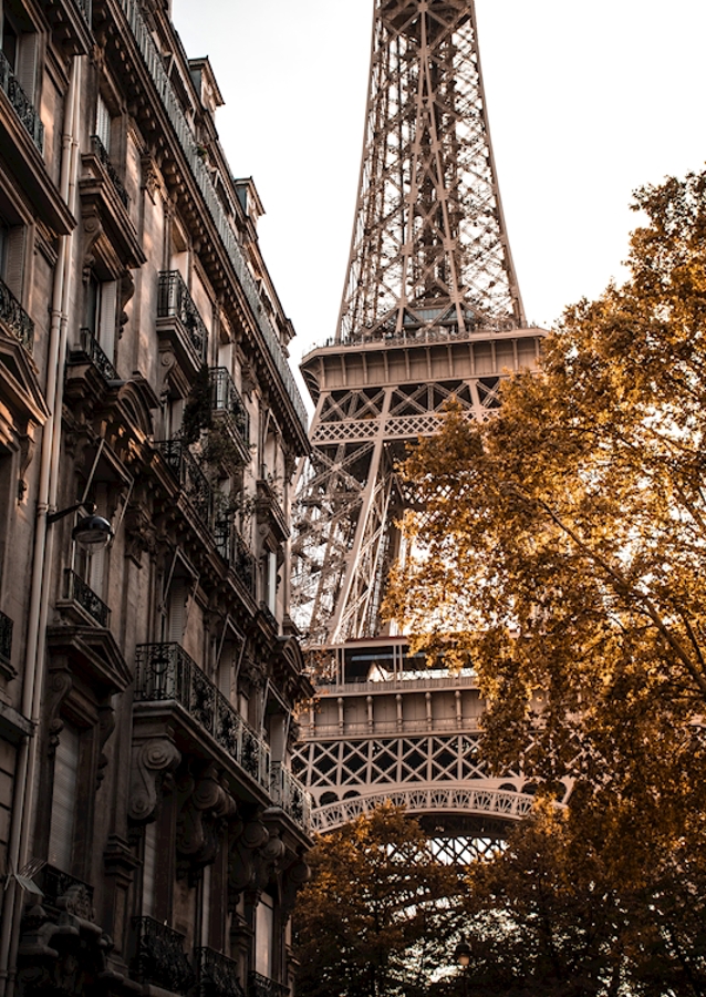 Autumn in Paris