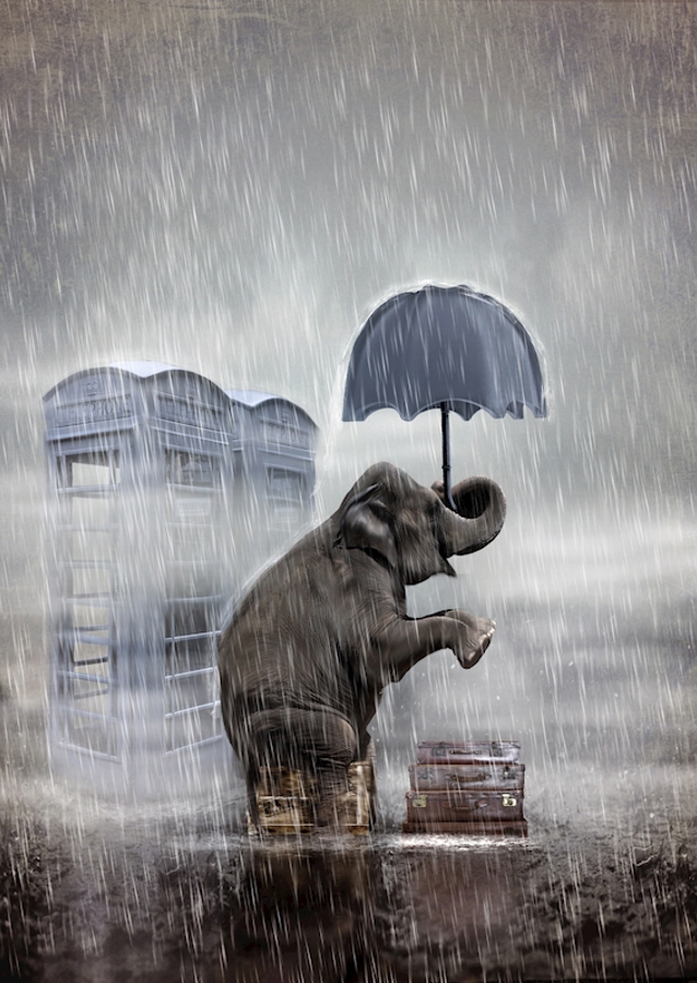 Una giornata di pioggia in blu