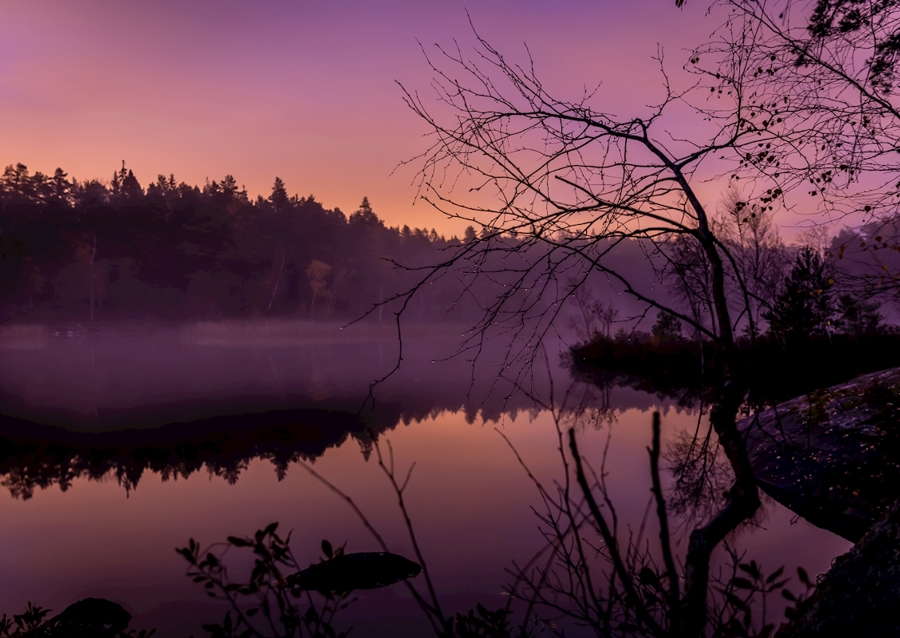 Dimma över sjö