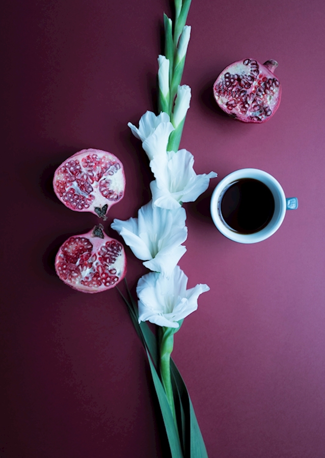Coffee is a fruit -7