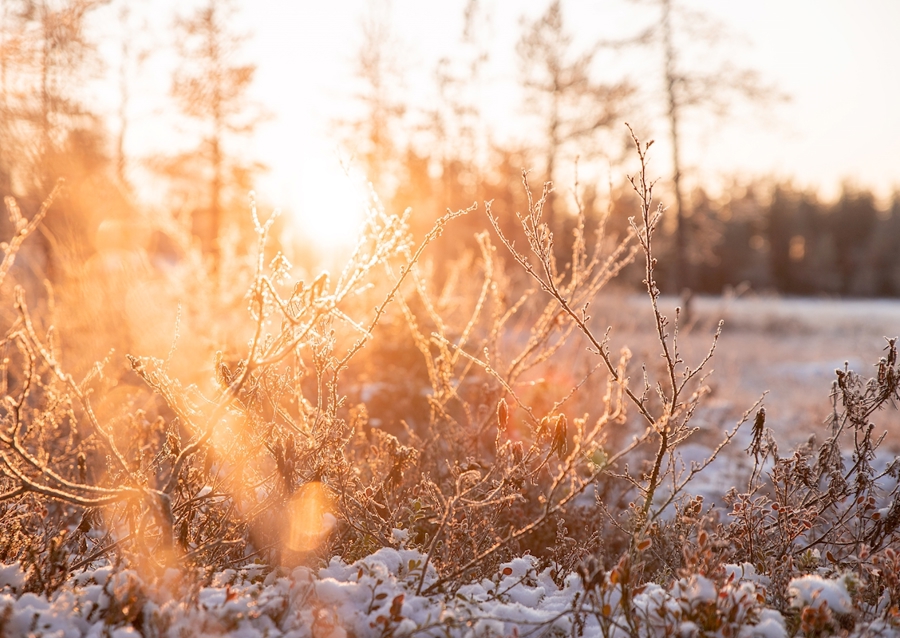 Pierwszy śnieg w roku
