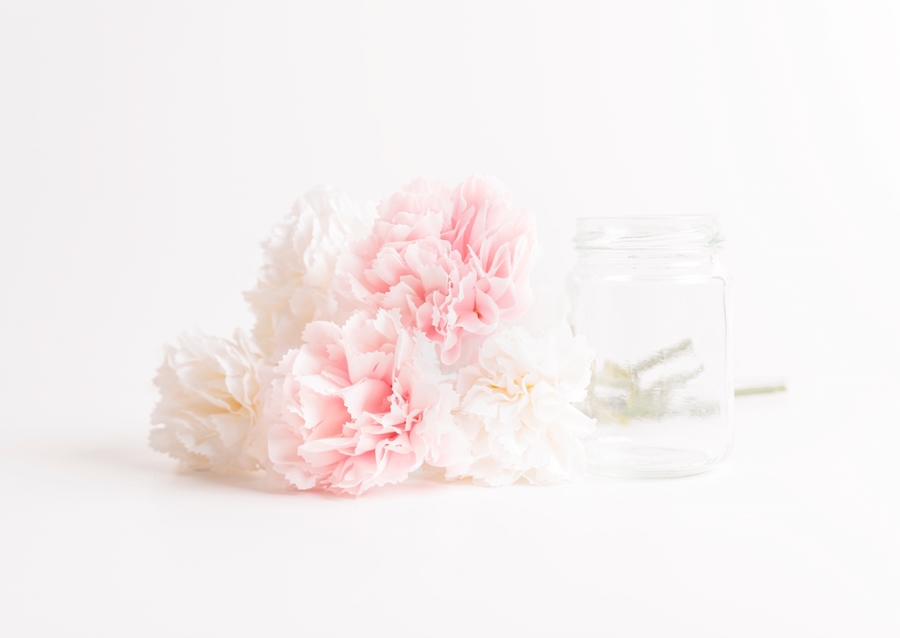 Rosa und weiße Nelken 2