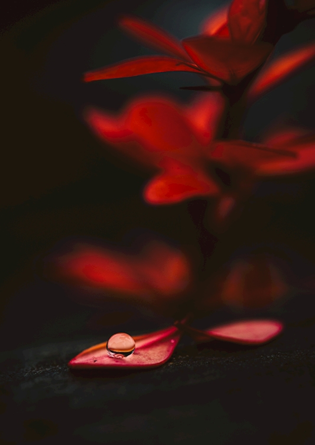 Apenas uma gota