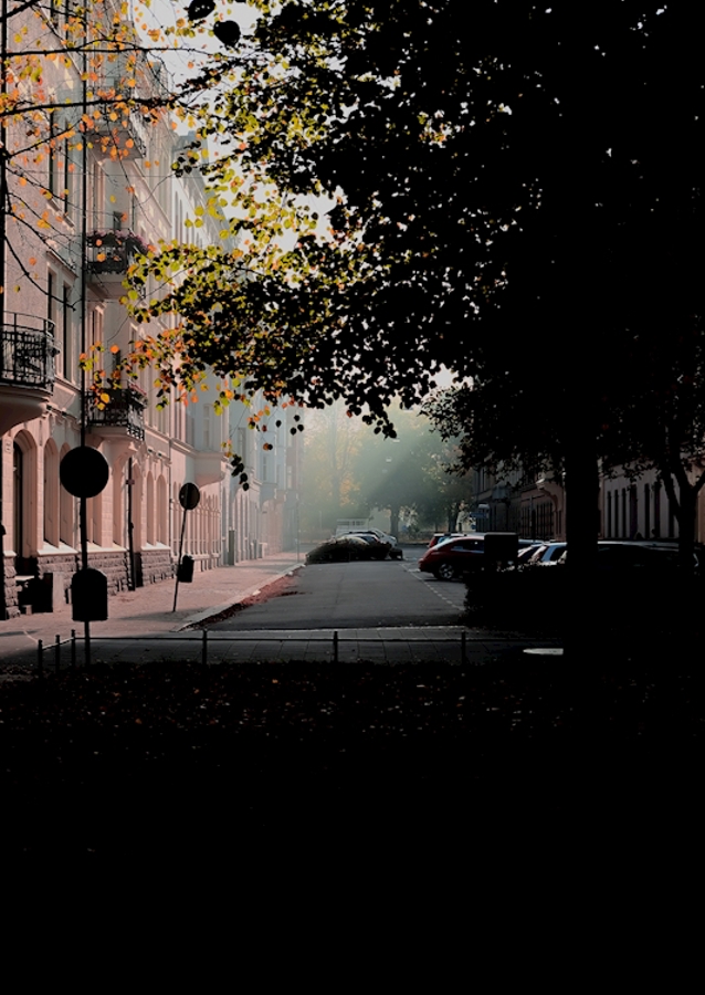 Morning light.